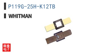 P119G-25H-K12TB ͼƬ